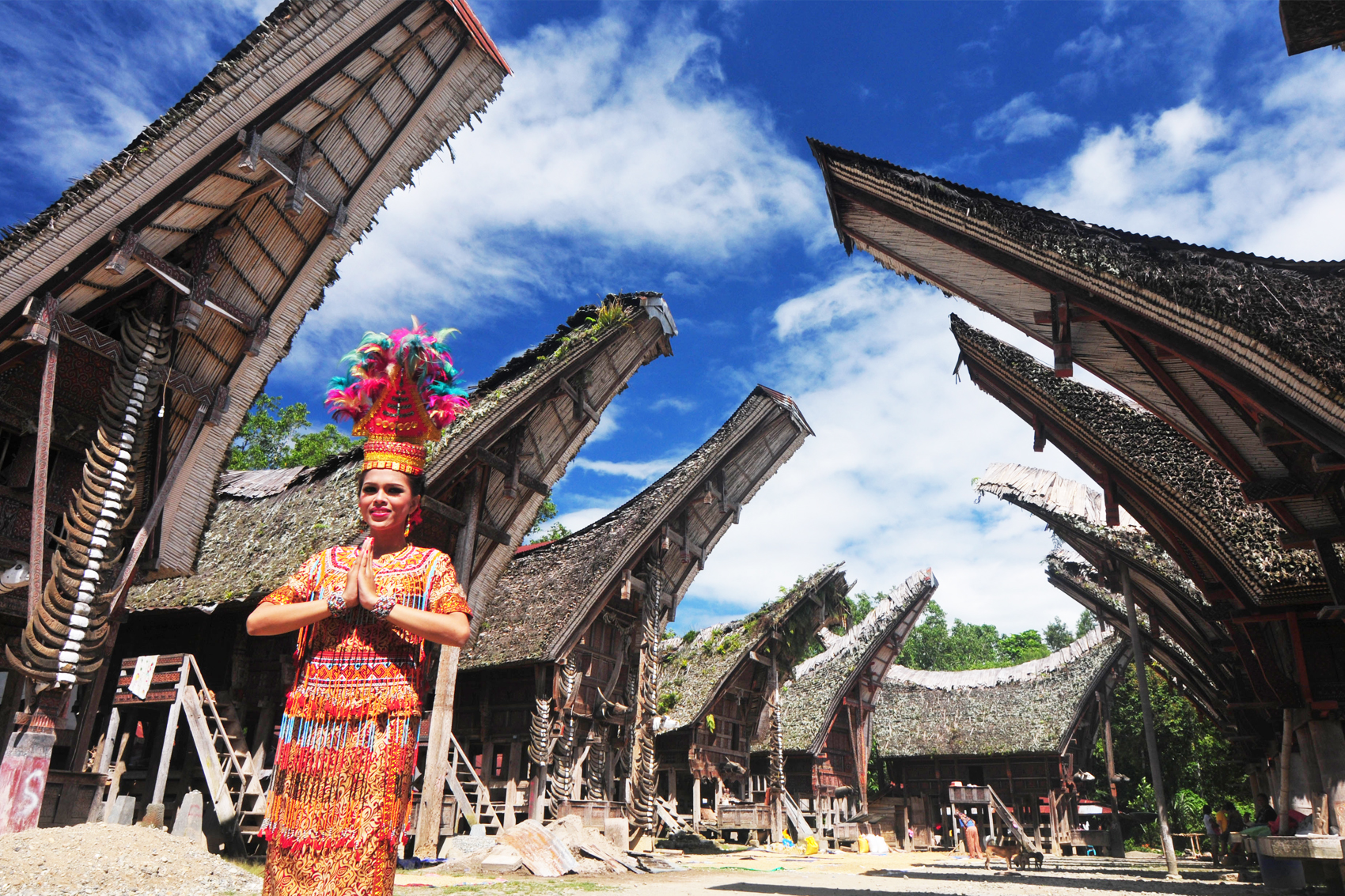 The Sacred Highlands
Tana Toraja, South Sulawesi - Gloria Tours and Travel | The Best and Cheap Travel Agency in Toraja, South Sulawesi, North Sulawesi, and Central Sulawesi